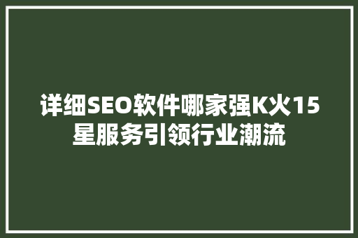 详细SEO软件哪家强K火15星服务引领行业潮流