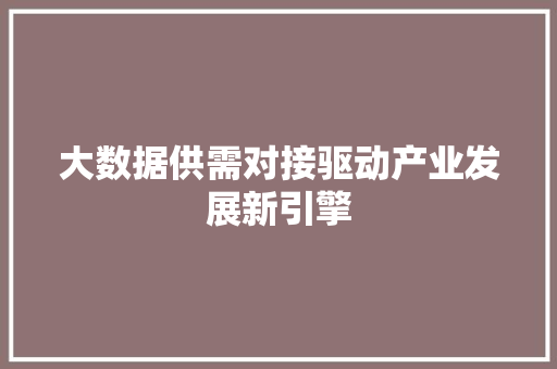 大数据供需对接驱动产业发展新引擎