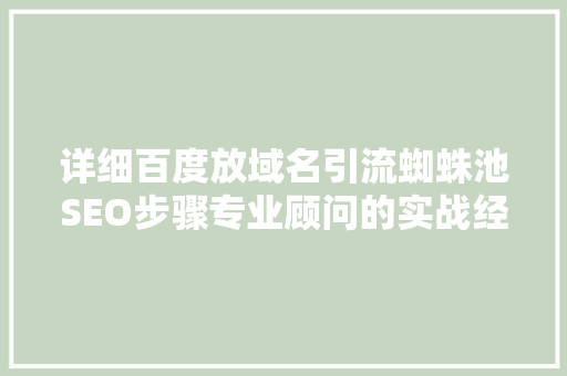 详细百度放域名引流蜘蛛池SEO步骤专业顾问的实战经验分享