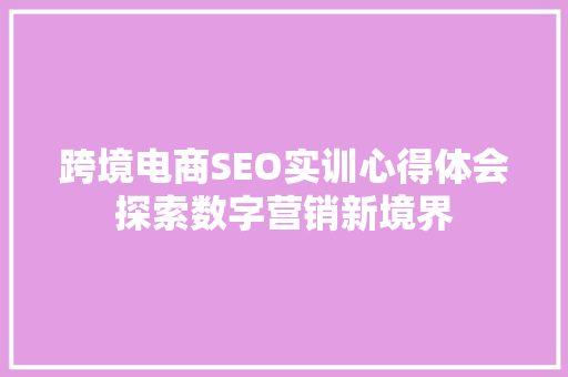 跨境电商SEO实训心得体会探索数字营销新境界