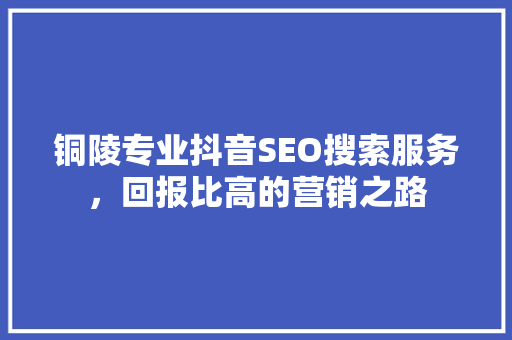 铜陵专业抖音SEO搜索服务，回报比高的营销之路