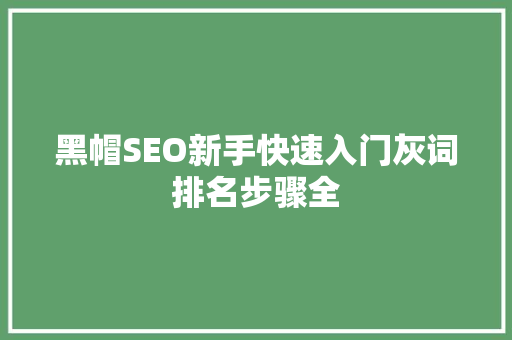 黑帽SEO新手快速入门灰词排名步骤全