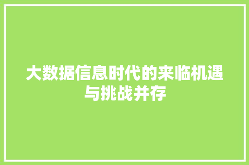 大数据信息时代的来临机遇与挑战并存  第1张