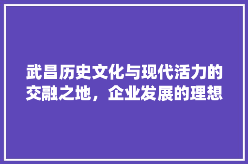 武昌历史文化与现代活力的交融之地，企业发展的理想选择_武昌关键词优化公司