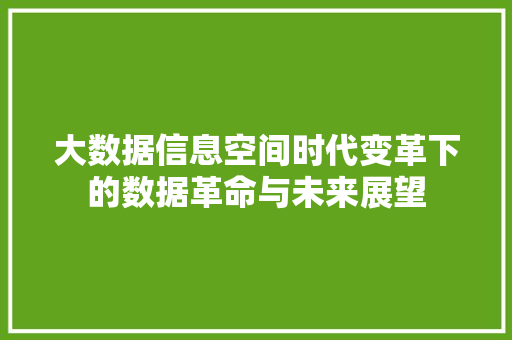 大数据信息空间时代变革下的数据革命与未来展望  第1张