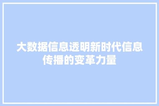 大数据信息透明新时代信息传播的变革力量
