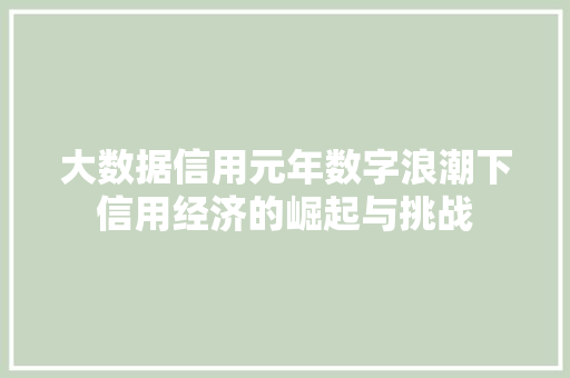 大数据信用元年数字浪潮下信用经济的崛起与挑战