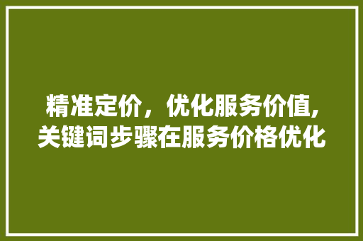 精准定价，优化服务价值,关键词步骤在服务价格优化中的应用_关键词优化服务价格