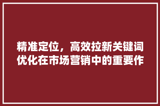 精准定位，高效拉新关键词优化在市场营销中的重要作用_拉新定向关键词优化