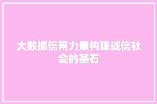大数据信用力量构建诚信社会的基石