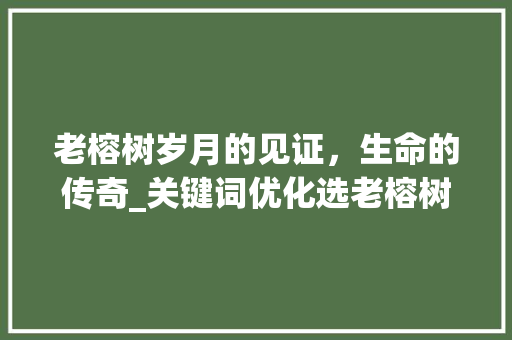 老榕树岁月的见证，生命的传奇_关键词优化选老榕树