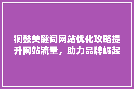 铜鼓关键词网站优化攻略提升网站流量，助力品牌崛起_铜鼓关键词网站优化