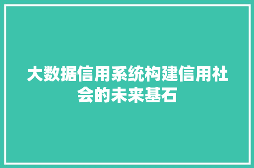 大数据信用系统构建信用社会的未来基石