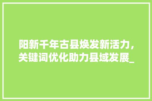 阳新千年古县焕发新活力，关键词优化助力县域发展_阳新关键词优化排名