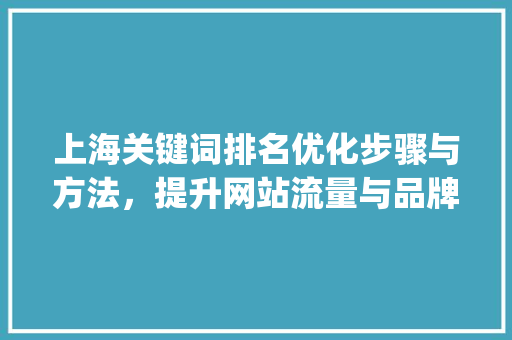 上海关键词排名优化步骤与方法，提升网站流量与品牌影响力_上海标题关键词排名优化  第1张