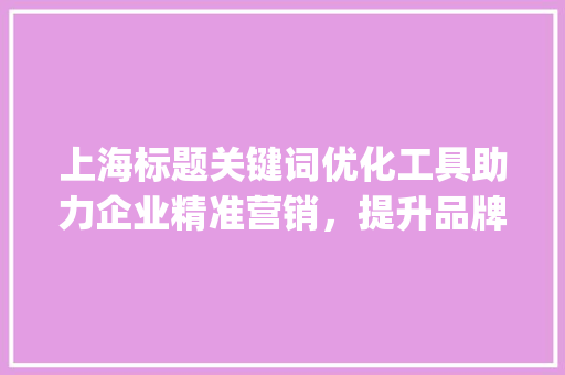 上海标题关键词优化工具助力企业精准营销，提升品牌影响力_上海标题关键词优化工具