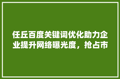 任丘百度关键词优化助力企业提升网络曝光度，抢占市场先机_任丘百度关键词优化