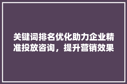 关键词排名优化助力企业精准投放咨询，提升营销效果_关键词排名优化投放咨询