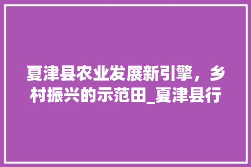 夏津县农业发展新引擎，乡村振兴的示范田_夏津县行业关键词优化