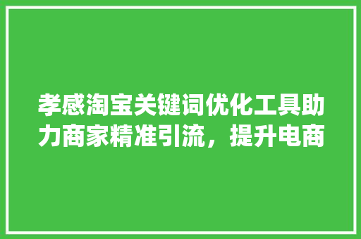 孝感淘宝关键词优化工具助力商家精准引流，提升电商竞争力_孝感淘宝关键词优化工具
