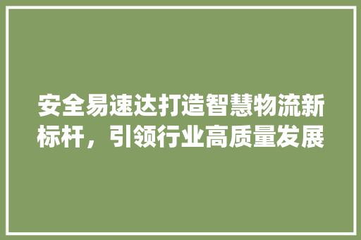 安全易速达打造智慧物流新标杆，引领行业高质量发展_关键词优化好安全易速达