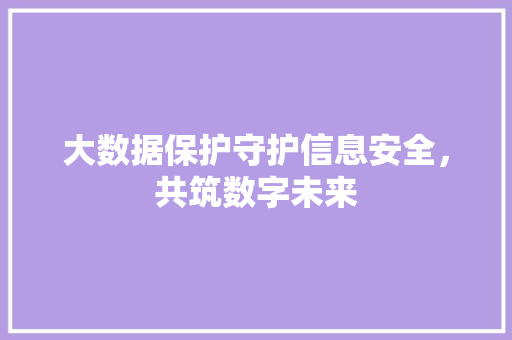 大数据保护守护信息安全，共筑数字未来