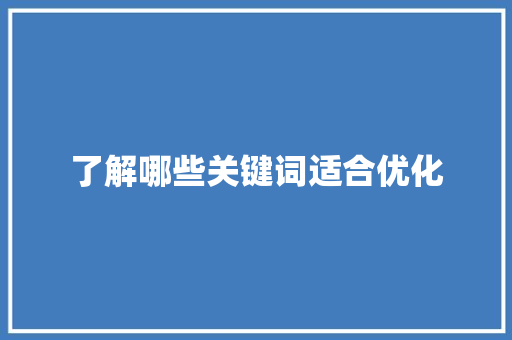 了解哪些关键词适合优化