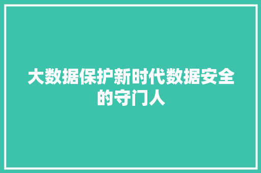 大数据保护新时代数据安全的守门人