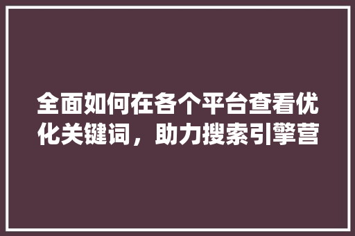 全面如何在各个平台查看优化关键词，助力搜索引擎营销_在哪里查看优化关键词