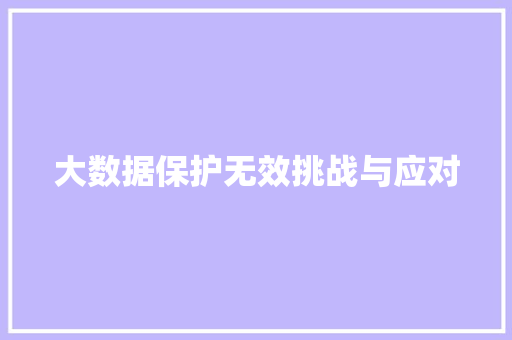 大数据保护无效挑战与应对