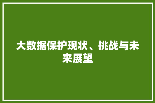 大数据保护现状、挑战与未来展望