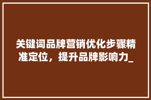 关键词品牌营销优化步骤精准定位，提升品牌影响力_如何优化关键词品牌营销