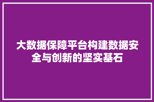 大数据保障平台构建数据安全与创新的坚实基石  第1张