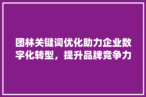 团林关键词优化助力企业数字化转型，提升品牌竞争力_团林关键词优化例子