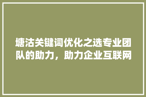 塘沽关键词优化之选专业团队的助力，助力企业互联网营销新飞跃_塘沽关键词优化哪家好