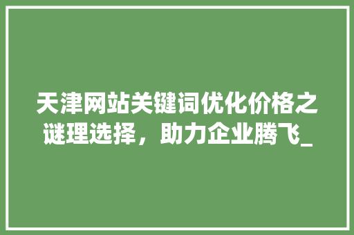 天津网站关键词优化价格之谜理选择，助力企业腾飞_天津网站关键词优化价格