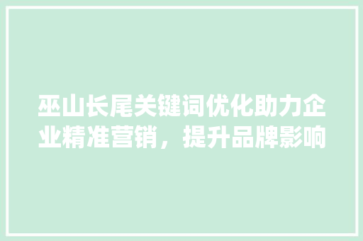 巫山长尾关键词优化助力企业精准营销，提升品牌影响力_巫山长尾关键词优化公司