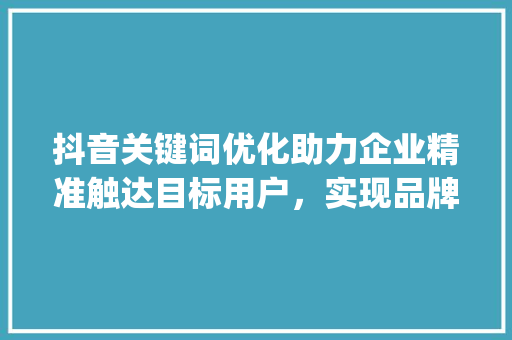 抖音关键词优化助力企业精准触达目标用户，实现品牌价值最大化_抖音关键词优化公司