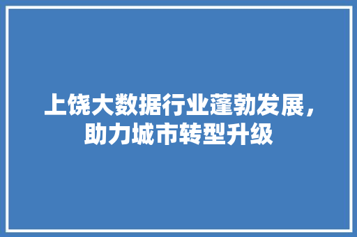 上饶大数据行业蓬勃发展，助力城市转型升级