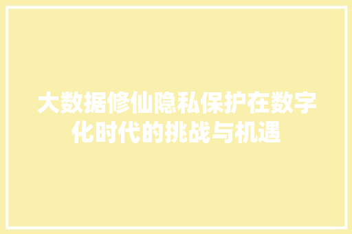 大数据修仙隐私保护在数字化时代的挑战与机遇  第1张