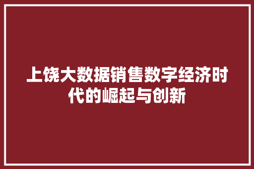 上饶大数据销售数字经济时代的崛起与创新