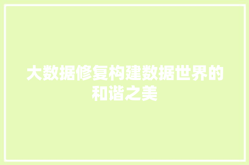 大数据修复构建数据世界的和谐之美