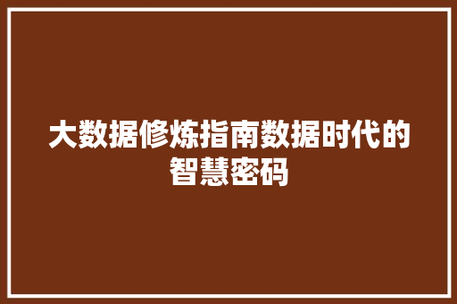 大数据修炼指南数据时代的智慧密码