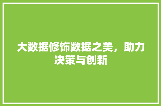 大数据修饰数据之美，助力决策与创新