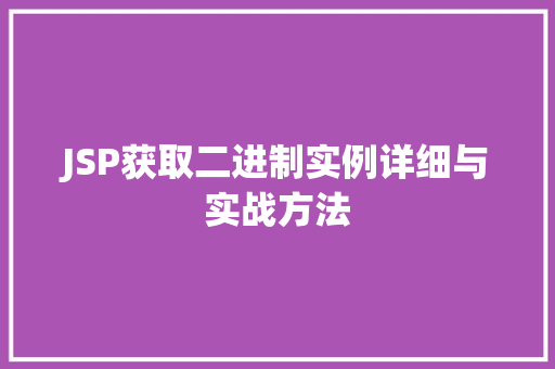 JSP获取二进制实例详细与实战方法
