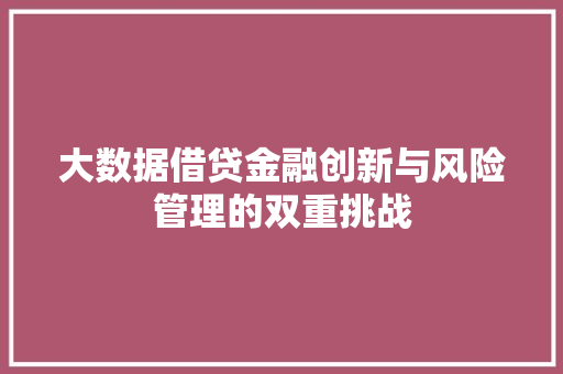 大数据借贷金融创新与风险管理的双重挑战