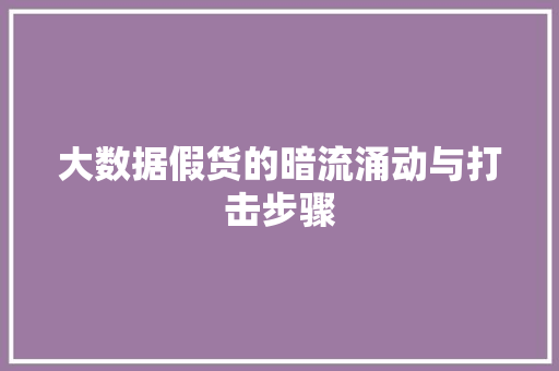 大数据假货的暗流涌动与打击步骤  第1张