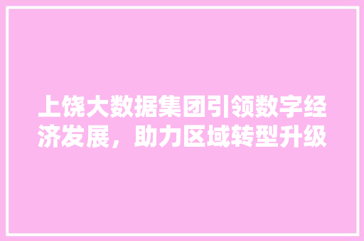 上饶大数据集团引领数字经济发展，助力区域转型升级