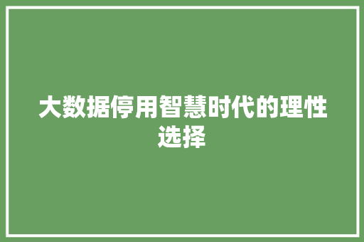 大数据停用智慧时代的理性选择