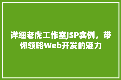 详细老虎工作室JSP实例，带你领略Web开发的魅力